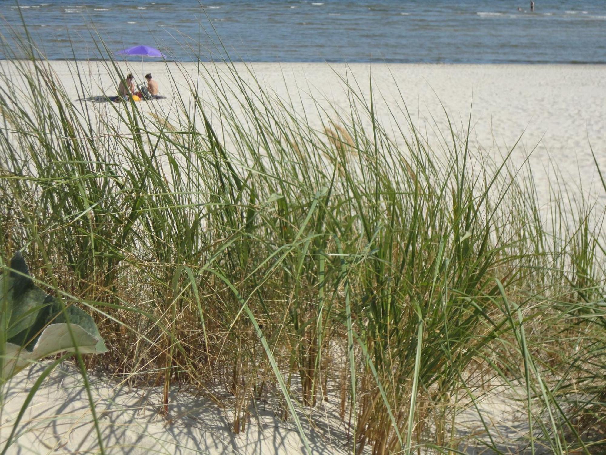 Ostseemuschel Karlshagen Buitenkant foto