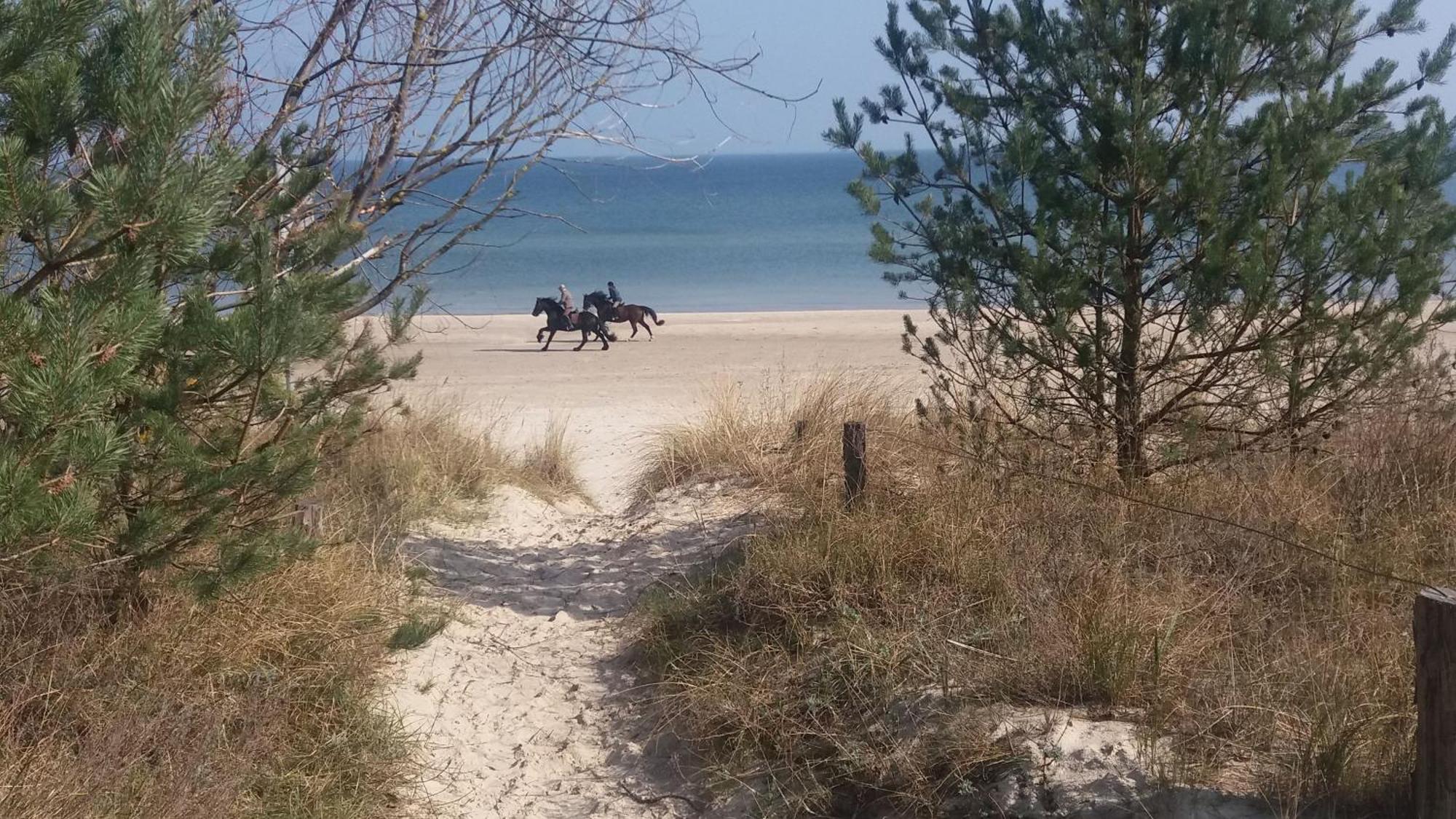 Ostseemuschel Karlshagen Buitenkant foto